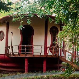 Eden Garden By Cliff Way